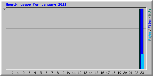 Hourly usage for January 2011