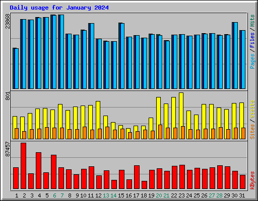 Daily usage for January 2024