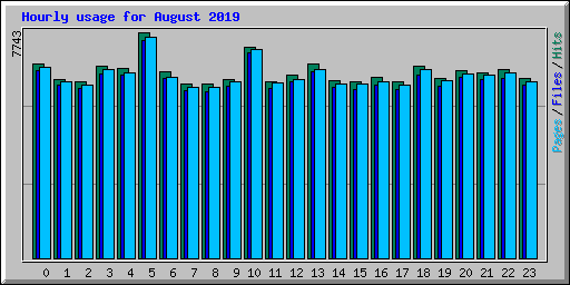 Hourly usage for August 2019