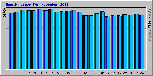 Hourly usage for November 2021