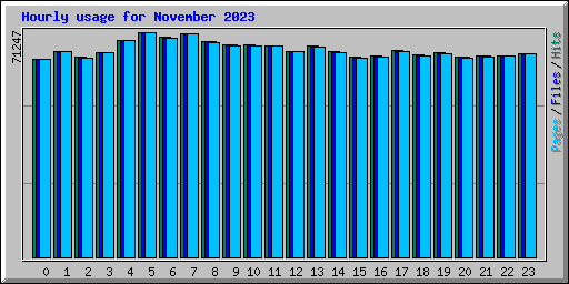 Hourly usage for November 2023