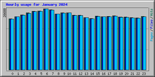 Hourly usage for January 2024