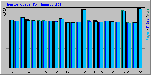 Hourly usage for August 2024