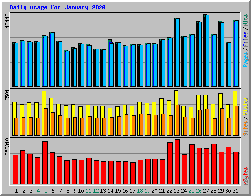 Daily usage for January 2020