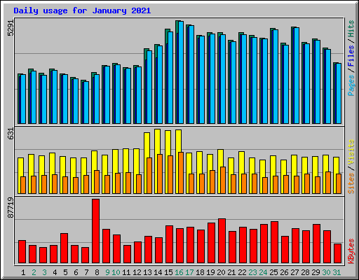 Daily usage for January 2021