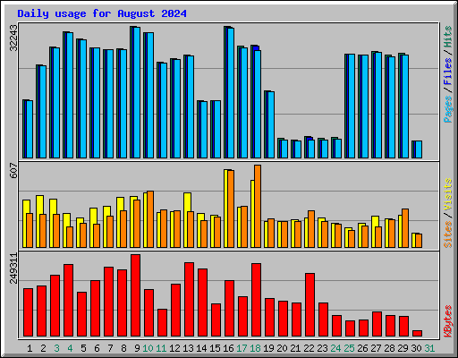 Daily usage for August 2024