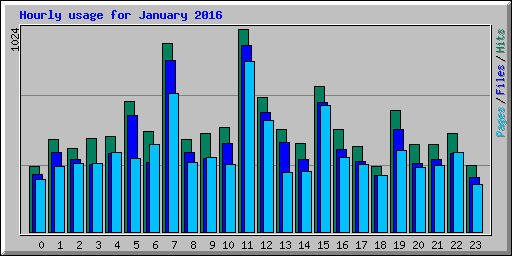 Hourly usage for January 2016