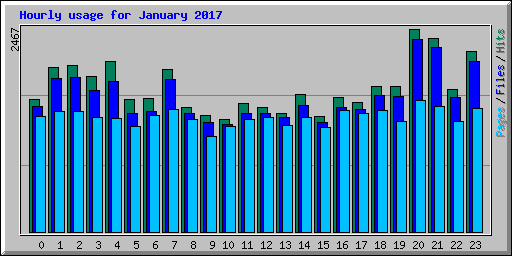 Hourly usage for January 2017