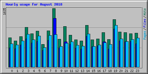 Hourly usage for August 2018