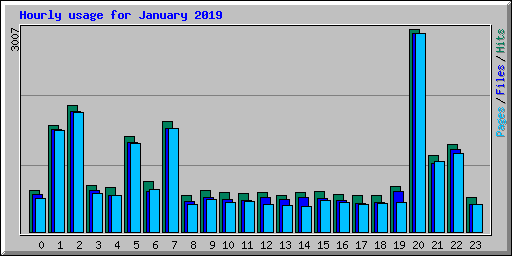 Hourly usage for January 2019