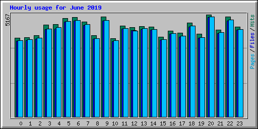 Hourly usage for June 2019