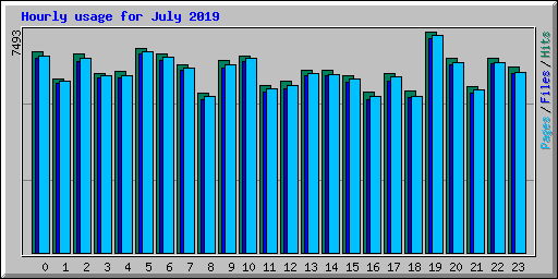 Hourly usage for July 2019