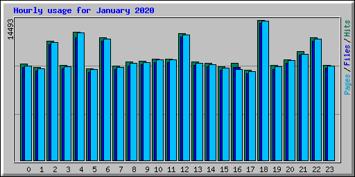 Hourly usage for January 2020