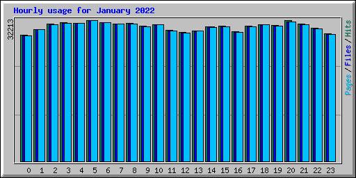 Hourly usage for January 2022