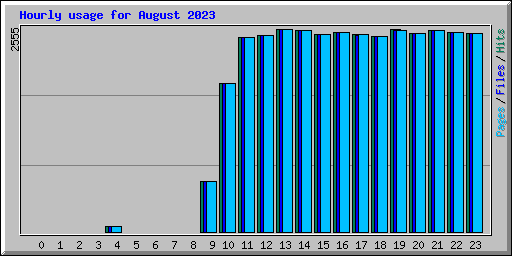 Hourly usage for August 2023