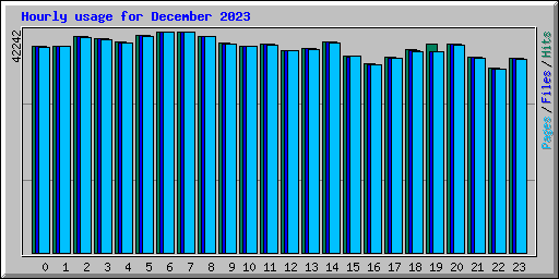 Hourly usage for December 2023