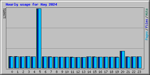 Hourly usage for May 2024